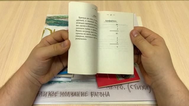 Аэробус любви Петра Мамонова!!! Мини обзор!!! смотреть онлайн