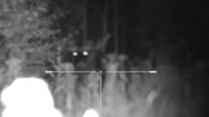 Лось на реву. Юкон фотон рт.