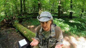 Итоги июня 2022. Дневник натуралиста