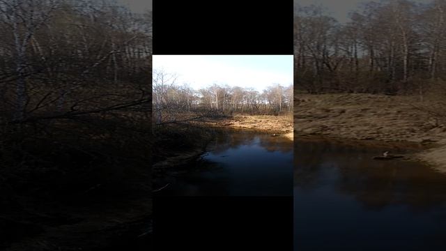 Сибирская речка