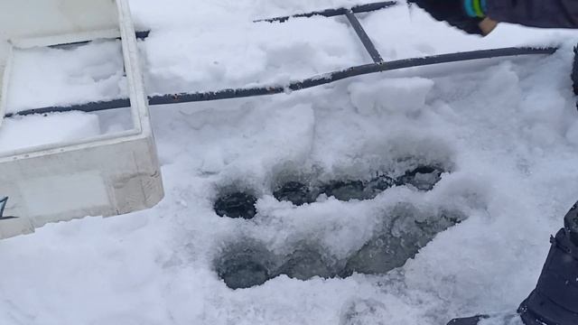 SOS!!!Спасаю Рыбу и Раков,чтоб не задохнулись. смотреть онлайн