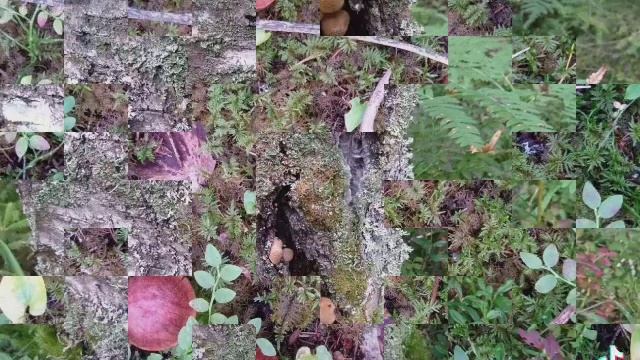 Тихая охота!????? смотреть онлайн