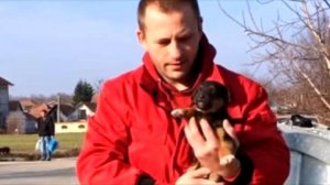 Щенок плакал и не мог поверить, что его выбросили. Но вдруг он услышал голос...