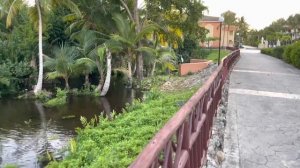 Bahia Principe Punta Cana: Парк с птицами на территории отеля Luxury Ambar