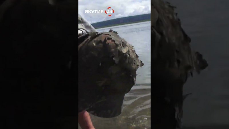Ловим щуку без спиннинга