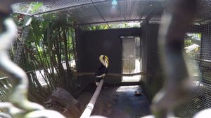 Таиланд. Пхукет. Выпуск 5. Пляж Май Кхао