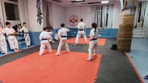 Ката/синие пояса/20.12.22/STRUIN DOJO