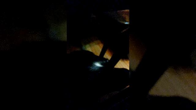 Грюша боится грозы!! смотреть онлайн