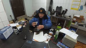 Однако! Топливные фильтры Stellox. Обзор изнутри.