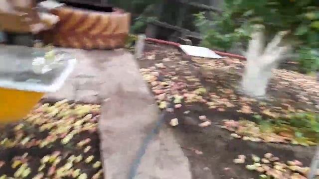 влог на даче,ем малину,сварили манты,падают яблоки смотреть онлайн