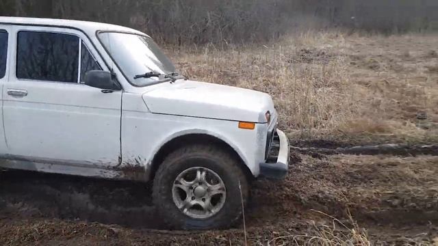 Прогулка по торфяникам на НИВАХ смотреть онлайн