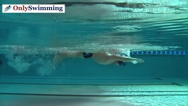 Техника баттерфляй смотреть онлайн