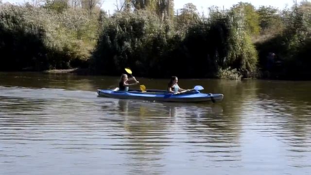 День здоровья ПШ № 36 смотреть онлайн