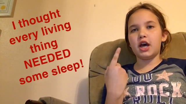 Учись говорить на Английском: Для детей и взрослых. Факт №2. смотреть онлайн