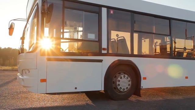 Обзор городских и пригородних автобусов МаЗ г.Минск смотреть онлайн