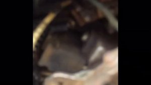 ?Замена щёток зажигания На Юпитер ?