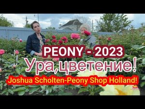 Первое цветение новых пионов от Peonyshop / Сад Ворошиловой