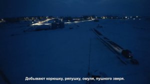 Суровая Арктика. Вездеходы «Русак» и «Север» привезли груз из Салехарда в Сёяху (Ямал)
