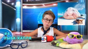 ТОП 5 САМЫХ СМЕШНЫХ РЫБ ВСЕГО МИРА