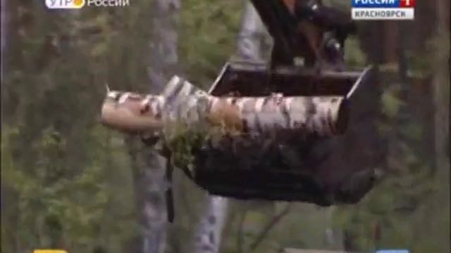 Вырубленный под Универсиаду-2019 лес восстановят в другом районе смотреть онлайн