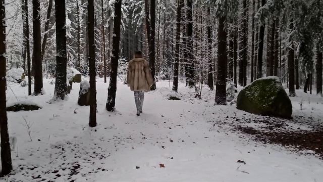 Зимняя сказка. Winterzeit . Wintergeschichte . смотреть онлайн