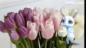 С днем проще ноги  воскрисенья