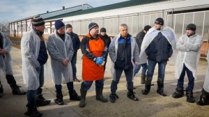 Мастер-класс по обрезке копыт КРС