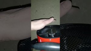 Электрическая тепловая пушка из Леруа мерлен.equation brigade 5 . почему на нем нет розетки...