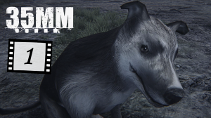 Выживание в 35MM: День 1