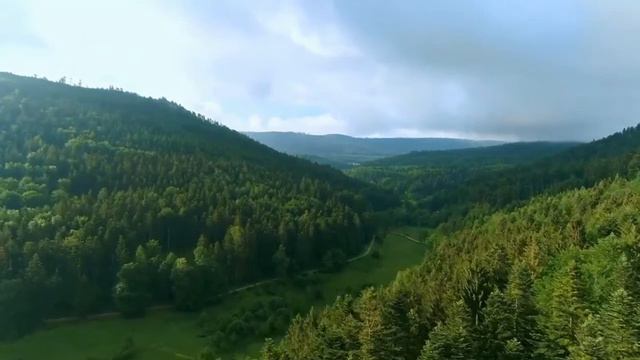 Strees music | Tasalli beruvchi piano musiqasi | Throw Stress away soothing piano song | sleep musi смотреть онлайн