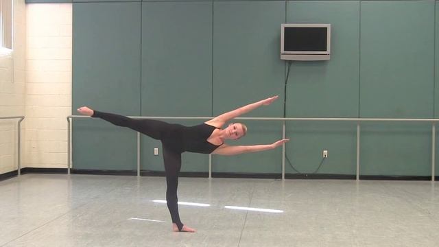 Horton Technique 2014