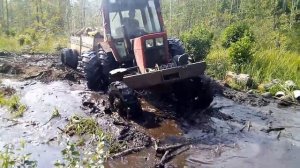 Трактор МТЗ 82 на спарке плывет по болоту с 2 кубами березы