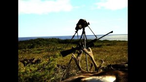 Охота на медведя, дальний восток