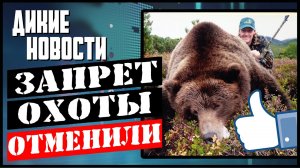 Требуем отстрела медведей_Бешеные волки и лисы_Осудили за моржей_Дикие новости