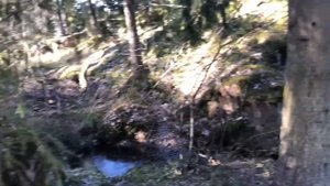 Поездка из Санкт-Петербурга в Финляндию. В Финляндию на велосипеде.Прохождение границы на велосипед