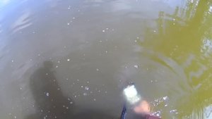 Minelab Equinox 800-в поисках ЗОЛОТА под водой! Пляжный поиск скупом и металлоискателем!