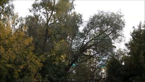 Костенеево: старое в прошлом, новое сегодня