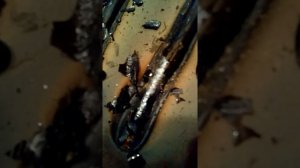 Аналог лучше чем LB 52U