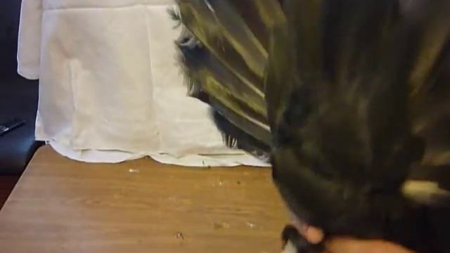 курский турман смотреть онлайн