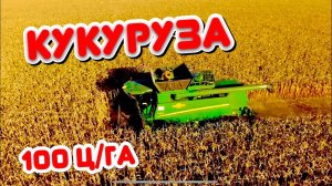 УБОРКА КУКУРУЗЫ ✅ ЗАВОРАЖИВАЮЩЕЕ ЗРЕЛИЩЕ …