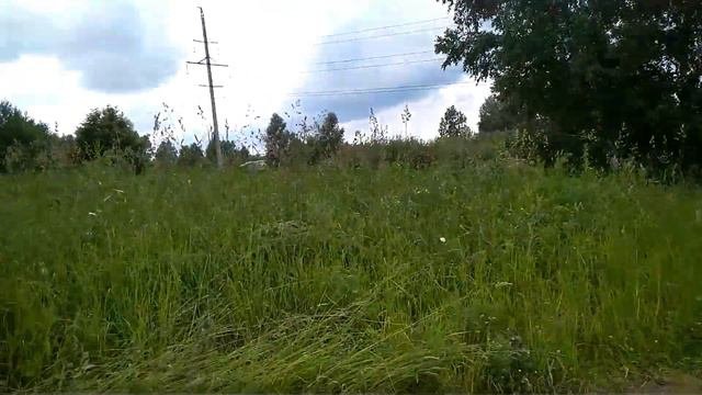 Моя Кедровка