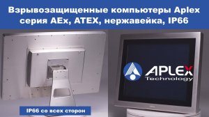 Взрывозащищенные компьютеры Aplex серия AEx, нержавейка, IP66