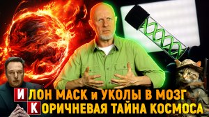 Газовая тайна, коты против системы, клетки молодости | Новости науки