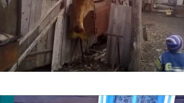 Россия=ТАМБОВСКАЯ ОБЛ. смотреть онлайн