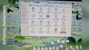 20 ДНЕЙ ДО ВЫБОРОВ МЭРА а в Северном Тушино конь не валялся