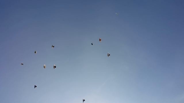 Пять минут лета после недели в заперти смотреть онлайн