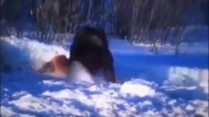 Вот это настоящий Чеченец - Нохчи Борз.