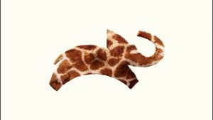 Заставка (Animal Planet, 13.06.2022)