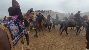 Купкари 03 02 2024