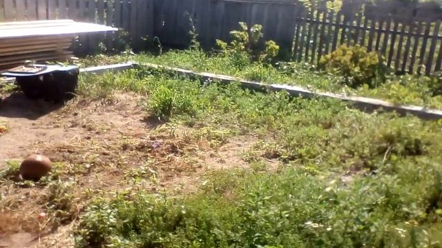 Сарай для бычков .Из чего лучше построить сарай для скотины?.https://youtu.be/q7hzK7iKujE смотреть онлайн